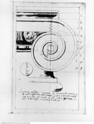 Trattato dell' ordine cinquen e dell' architettura civile, Die Ionische Ordnung, Die Kapitellvolute
