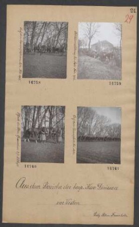 Pferde des Rttm. Frauenholz