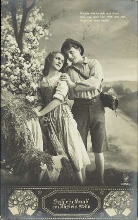 Sah' ein Knab' ein Röslein steh'n - Röslein wehrte sich [...]