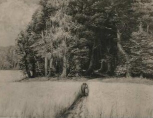 Dix, Otto : Weg durch Kornfeld, 1949