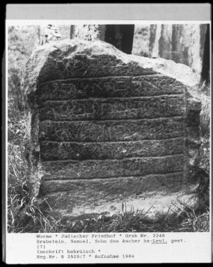 Grabstein des Samuel Levi, Sohn des Ascher ha-Levi