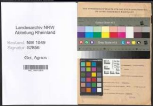 Entnazifizierung Agnes Gei , geb. 05.03.1905 ()