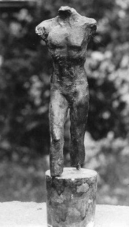 Männlicher Torso