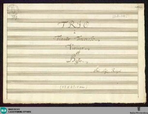 Sonatas - Mus. Hs. 769 : fl, vl, b; D; GroT 3928-D
