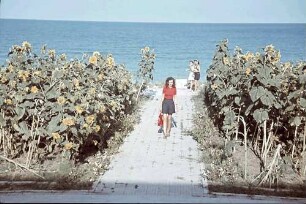 Eforie: Schwarzmeer Strand, Margarete Klein, steht an Sonnenblumen