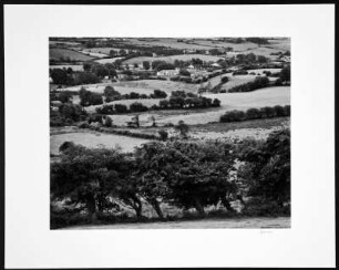 Irland. Landschaft bei Ennis