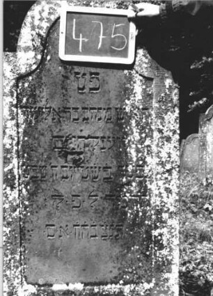 Grabstein 475 (Index: 99895582) Material: Sandstein Zustand: bewachsen Maße HxBxT: 139x62x8 cm Beschreibung: Stele mit eingezogenem Rundbogenabschluss: Grabstein 475 (2)