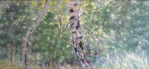 unbenannt [Birken im Dickicht]