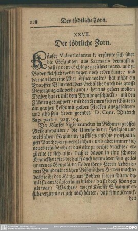XXVII. Der tödtliche Zorn