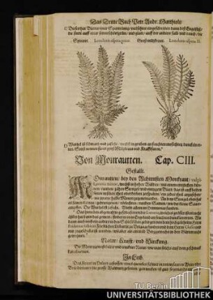 Cap. CIII. Von Monrautten.