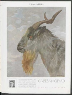 Cabeza de chivo