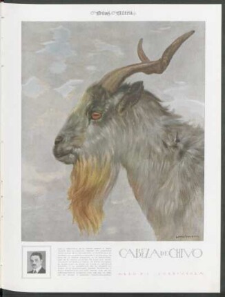 Cabeza de chivo