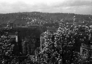 Stuttgart: Blick vom Kanonenweg durch Blüten zum Bahnhof