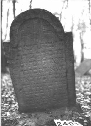 Grabstein 2481