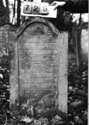 Grabstein 728 (Index: 99751651) Material: Sandstein Zustand: leicht verwittert Maße HxBxT: 105x60x11 cm Beschreibung: Stele, eingezogener Segmentbogenabschluß, Schriftfeld eingetieft Symbolik: Eichenlaub mit Früchten: Grabstein 728