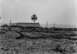 Viehhof : Viehhof und Holzlager derKolonisten von Monte Bello nahe São Paulo.