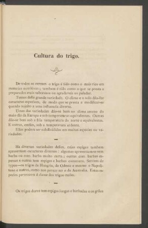 Cultura do trigo.