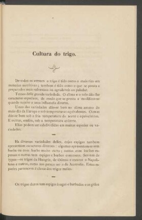 Cultura do trigo.