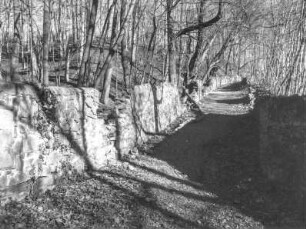 Radebeul, Graue-Presse-Weg