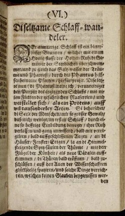 VI. Di seltsame Schlaff-wandeler.