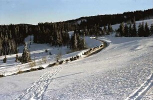 Schauinsland: Parkende Autos an der Haldenstraße; von oben