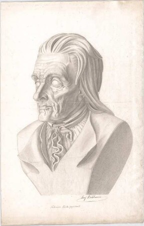 Bühlmann, Josef; Studienblätter und Reiseskizzen - Büste (Ansicht)