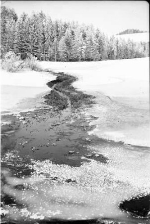 Breitnau: Der zugefrorene Weiher