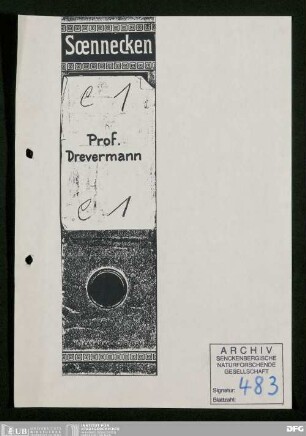 Korrespondenz des geschäftsführenden Direktors Fritz Drevermann