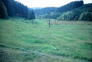 Tal bei Böhlen