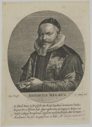 Bildnis des Antonius Walaeus