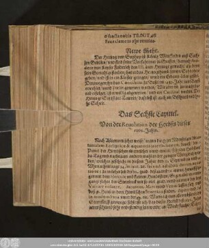 Das Sechste Capittel. Von der Revolution der Herbsts dieses 1602. Jahrs.
