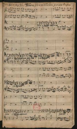 Salve rex Jesu; T, strings, bc; C-Dur