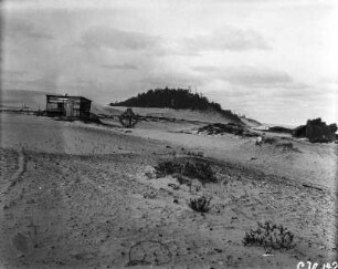 Dünen : Dünen nahe der Stadt Michigan City.
