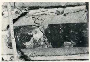 Freital-Zauckerode. Paul-Berndt-Grube (ehemaliger Königin-Carola-Schacht). Bohrung F 6 (51,25-53,25 m). Bohrkern; Konglomerat mit Porphyrit mit Feldspat