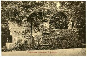 Grimma. Klosterruine Nimbschen