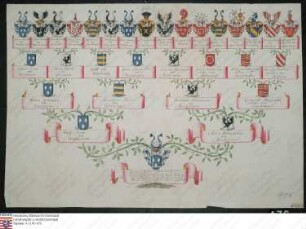 Ahnenprobe des Friedrich Reinhard Wolf v. Wallbrunn. - ausgefertigt 1751 Februar 4 (präsentiertes Datum), Pergament, nicht beglaubigter Entwurf 8 siehe 474, bei 23 Irrtum ( Bleistift), Zeichner B.W.