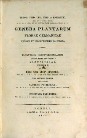 Genera plantarum florae germanicae : iconibus et descriptionibus illustrata. [6], Plantarum dicotyledonearum Subclassis secunda: Gamopetalae Volumen II
