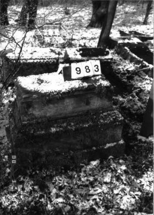 Grabstein 983