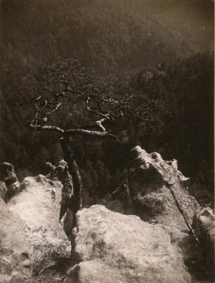 Elbsandsteingebirge. Gipflformen des Sandsteins bei Herrnskretschen