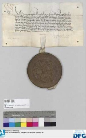 Kaiser Sigismund befiehlt der Stadt Nürnberg, die künftige Reichssteuer seinem Rat und Hofmeister, dem Grafen Ludwig zu Otingen auszubezahlen.