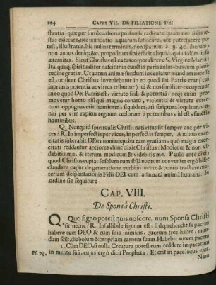 Cap. VIII. De Sponsa Christi.