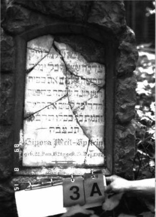 Grabstein 3 (Index: 100105641) Material: Muschelkalk, weiße Marmorplatte Zustand: Platte mehrfach gesprungen und teilweise herausgebrochen mit Textverlust Maße HxBxT: 106x53x32 cm Beschreibung: Stele, rustica, Rundbogenabschluß, Schriftplatte mit Segmentbogenabschluß: Grabstein 3A