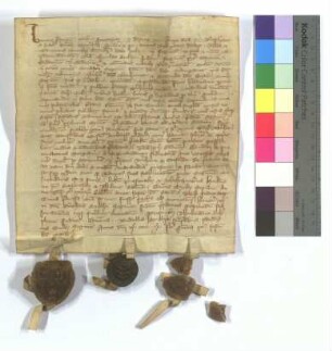 [Text = U / 1320 April 19]. Mit Eid besagt vor Emercho, Schultheiß, Richter "Thulmannus Scherpelo", Fürsprechen und Budellen. "1320 feria quinta post festum beati Martini."