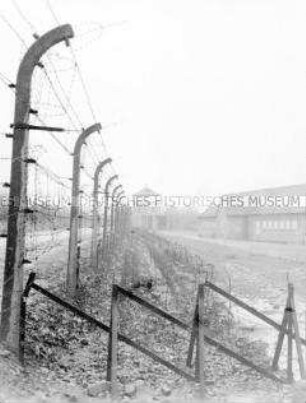 Stacheldrahtumzäunung der Nationalen Mahn- und Gedenkstätte Buchenwald