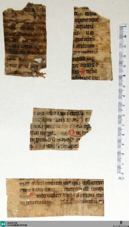 Fragment - Cod. Aug. Fr. A