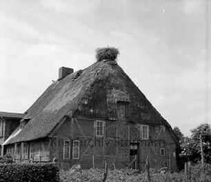 Bauernhaus mit Reetdach und Storchennest: davor eingezäunter Garten, Hecke und Bäume