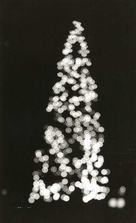Dresden? Beleuchteter Weihnachtsbaum