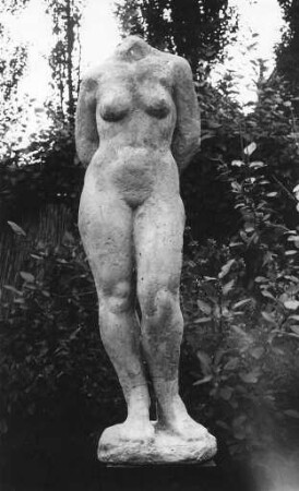 Weiblicher Torso