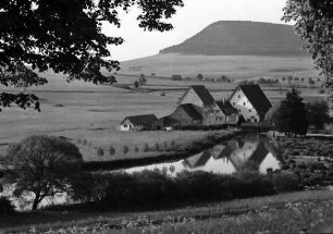 Geisingen: Mühle an der Donau, Vordergrund Äste