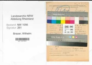 Entnazifizierung Wilhelm Brauer , geb. 05.12.1913 (Tierarzt)
